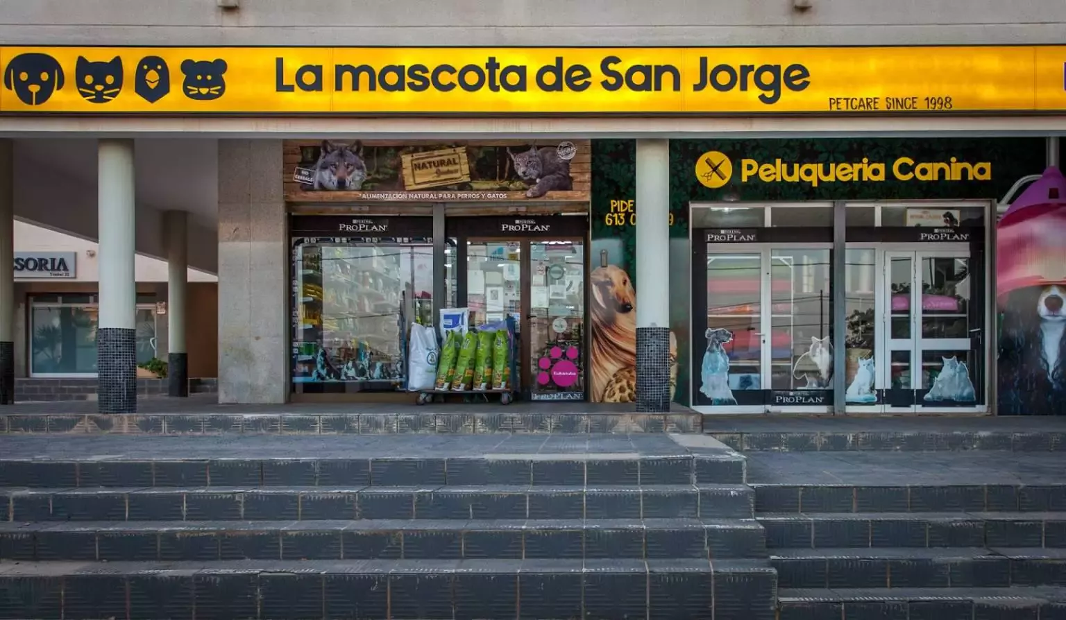 La Mascota de Ibiza Sant Jordi