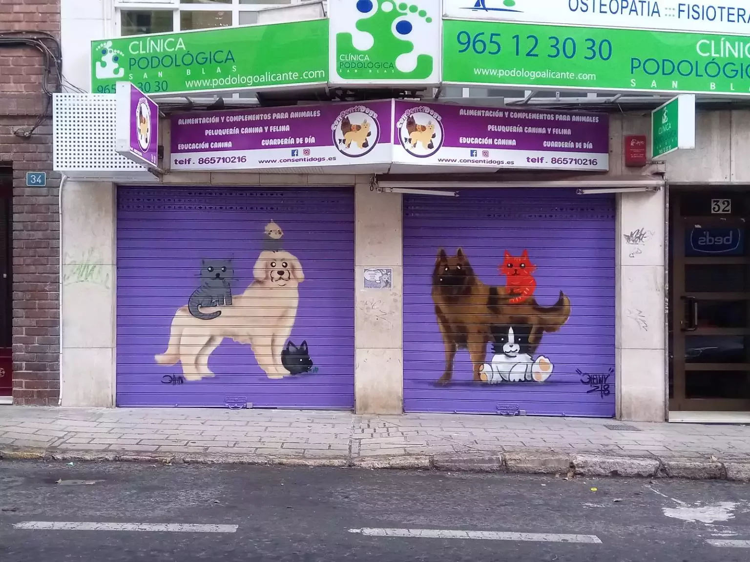 ConSentiDogs