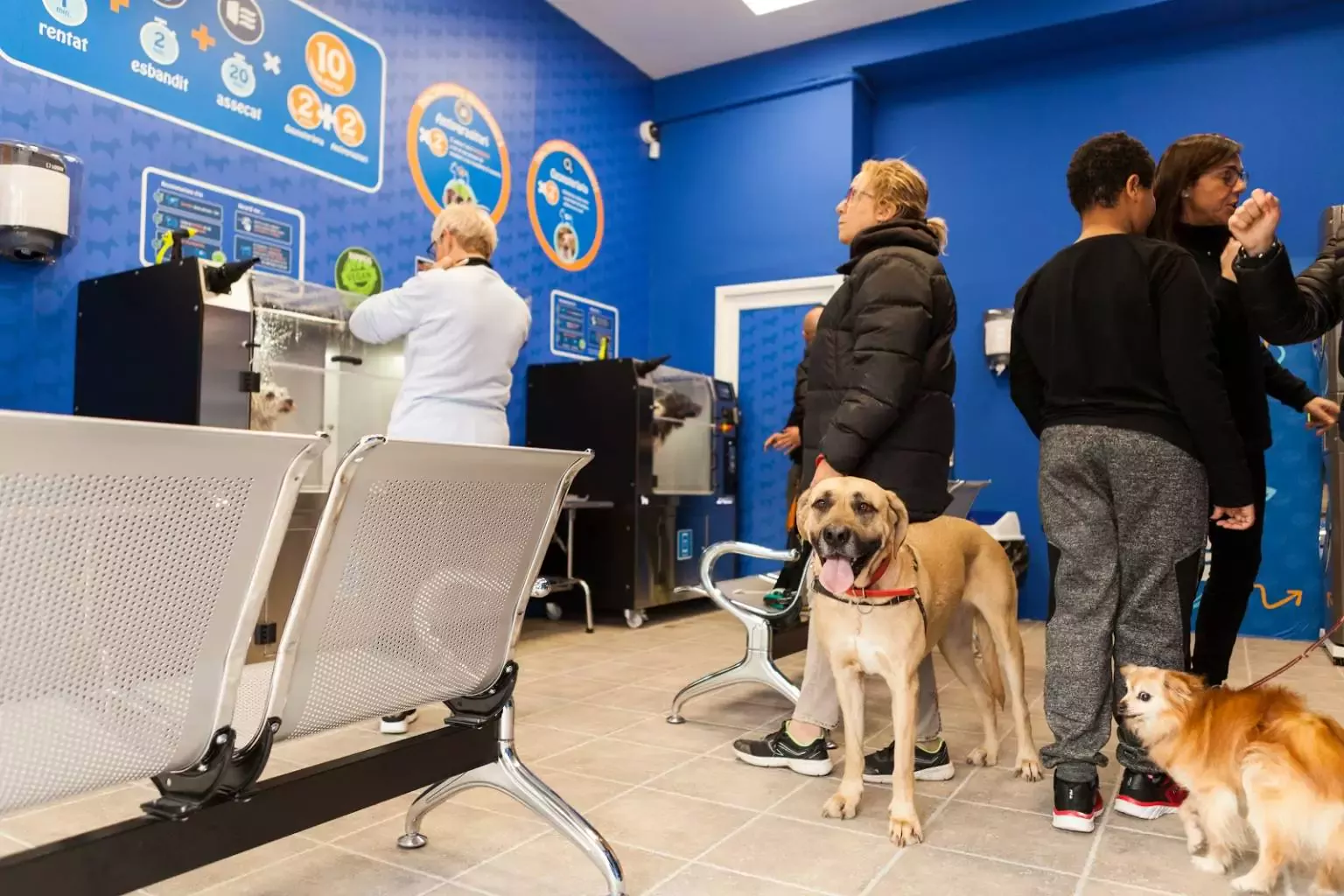 Lavakan Terrassa Spa per mascotes