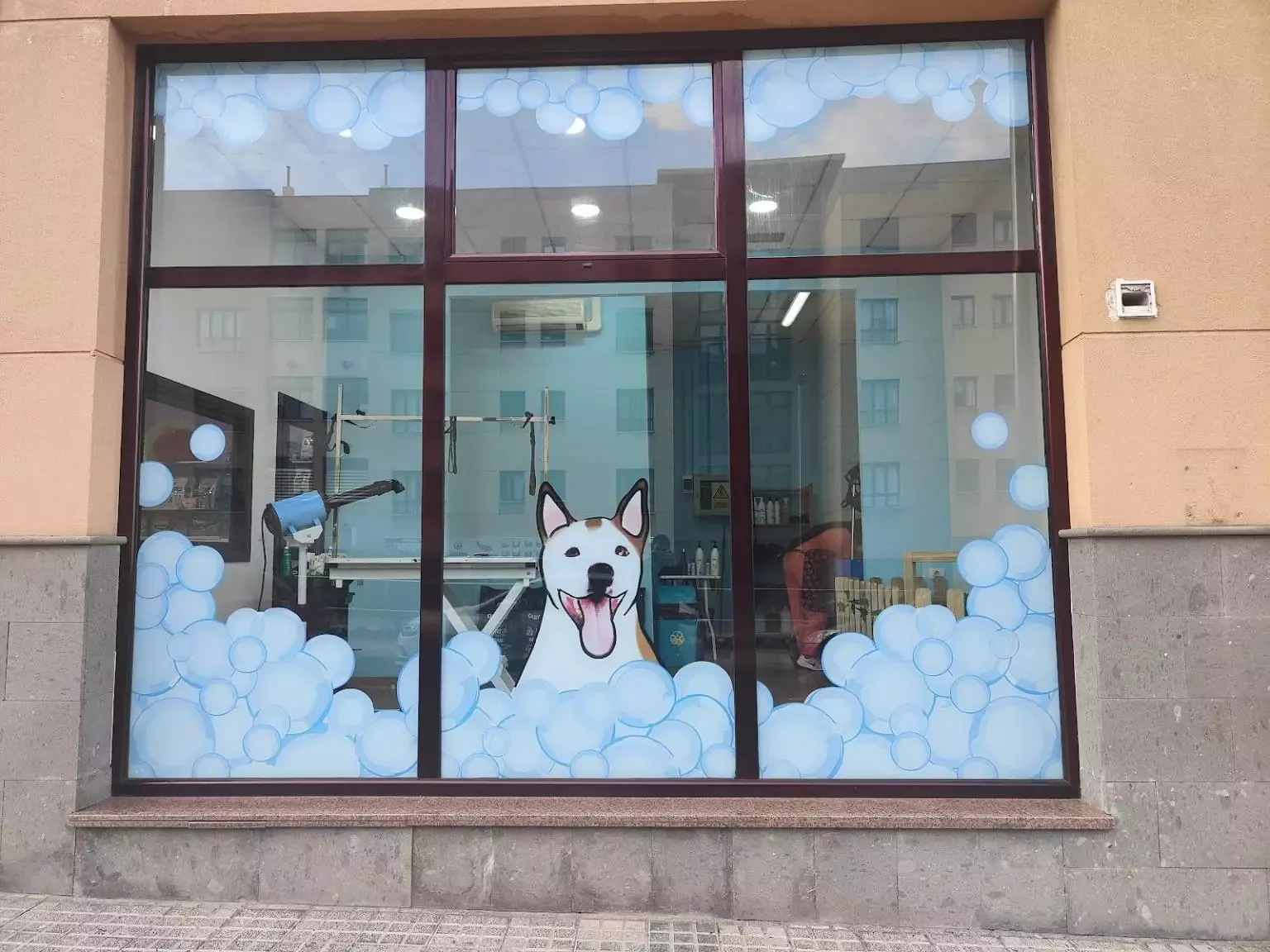 Peluquería canina Noemí Suárez