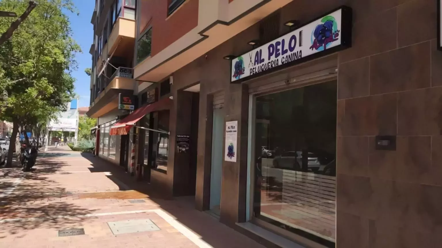 Peluqueria Canina Al Pelo