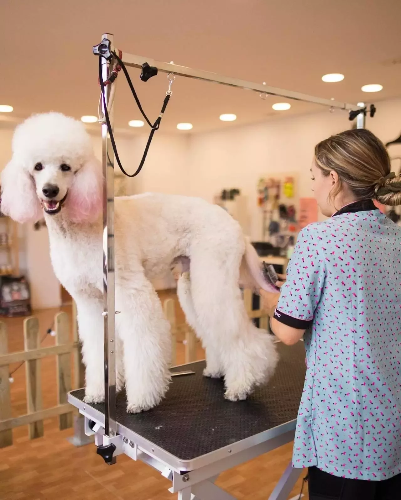 El caniche rosa Peluquería y estética canina