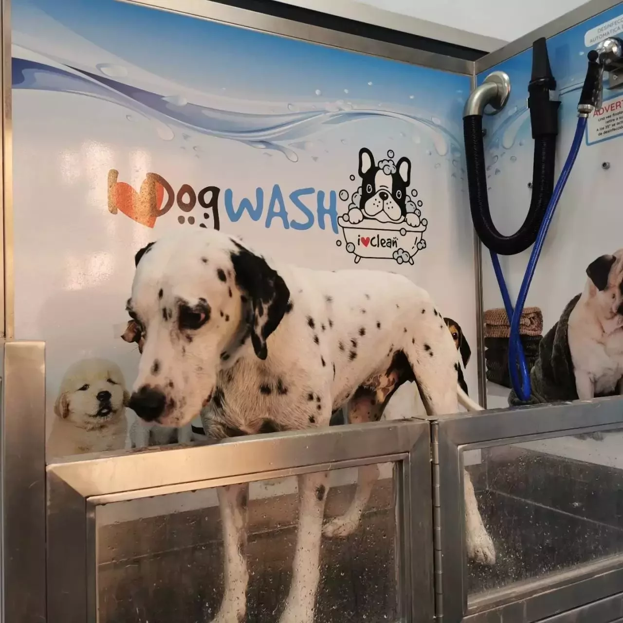 I Love Dog Wash Murcia