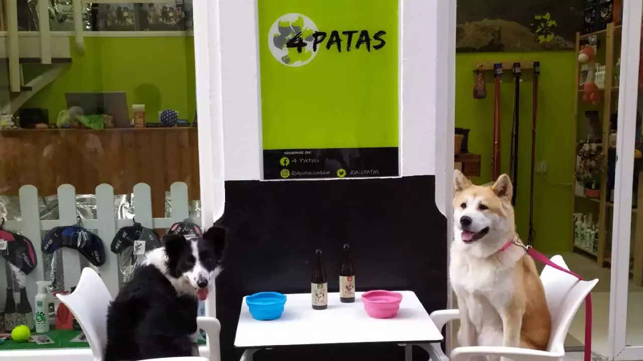 4 Patas