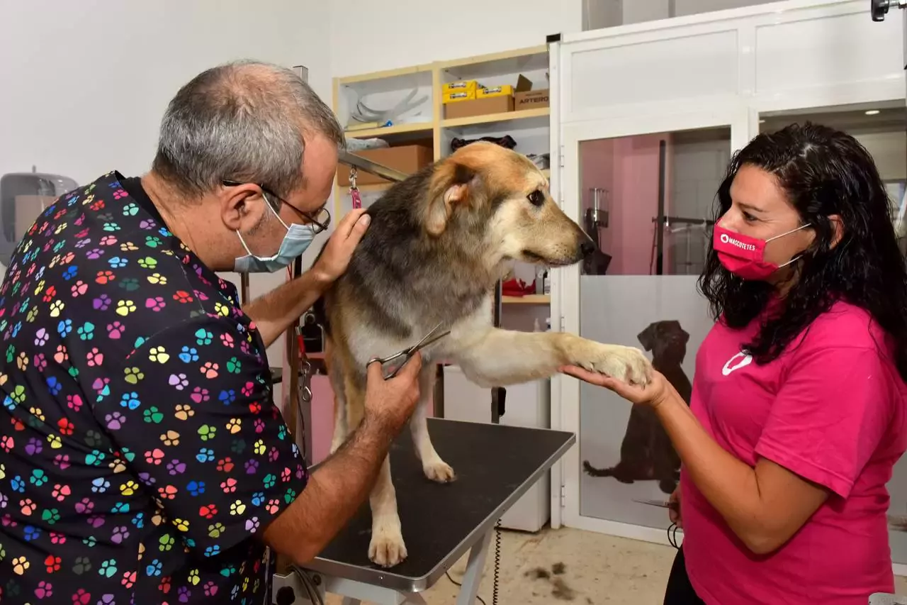 Peluqueria Canina Denia Mascotetes