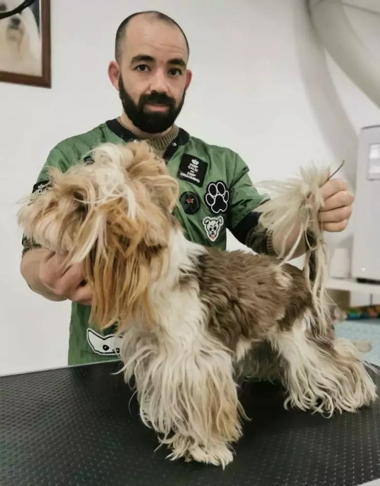 Peluquería canina Enredos