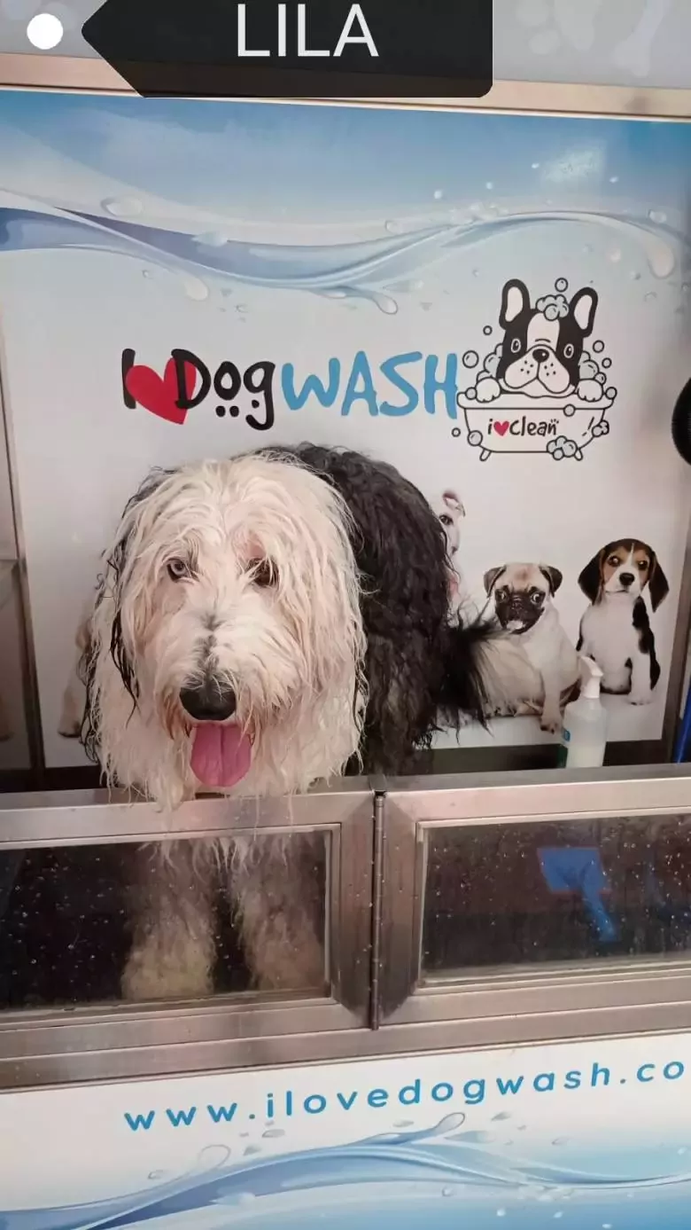 I Love Dog Wash Calafell Peluquería Canina y Autolavado