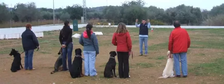 Centre dels Animals Arasa Botiga i Perruqueria