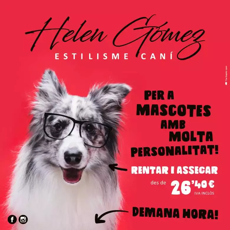 Helen Gomez Estilisme Cani