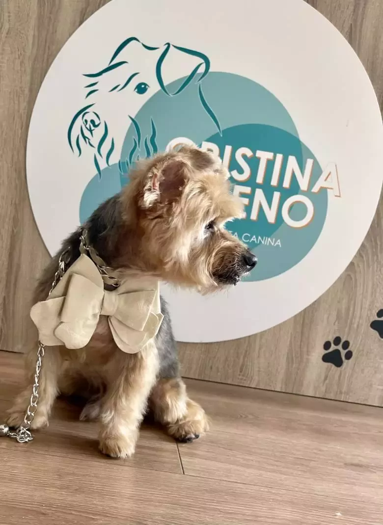 Peluquería Canina Cristina Bueno