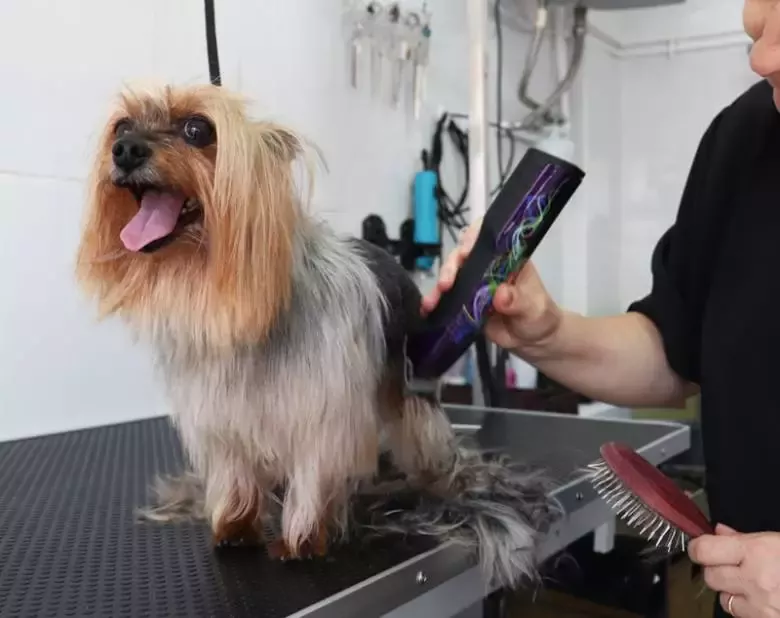 Peluquería Canina Mariví