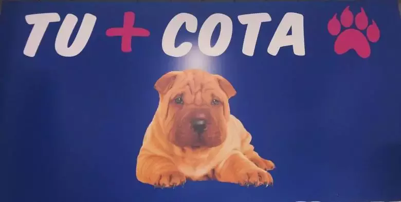 Tu+cota