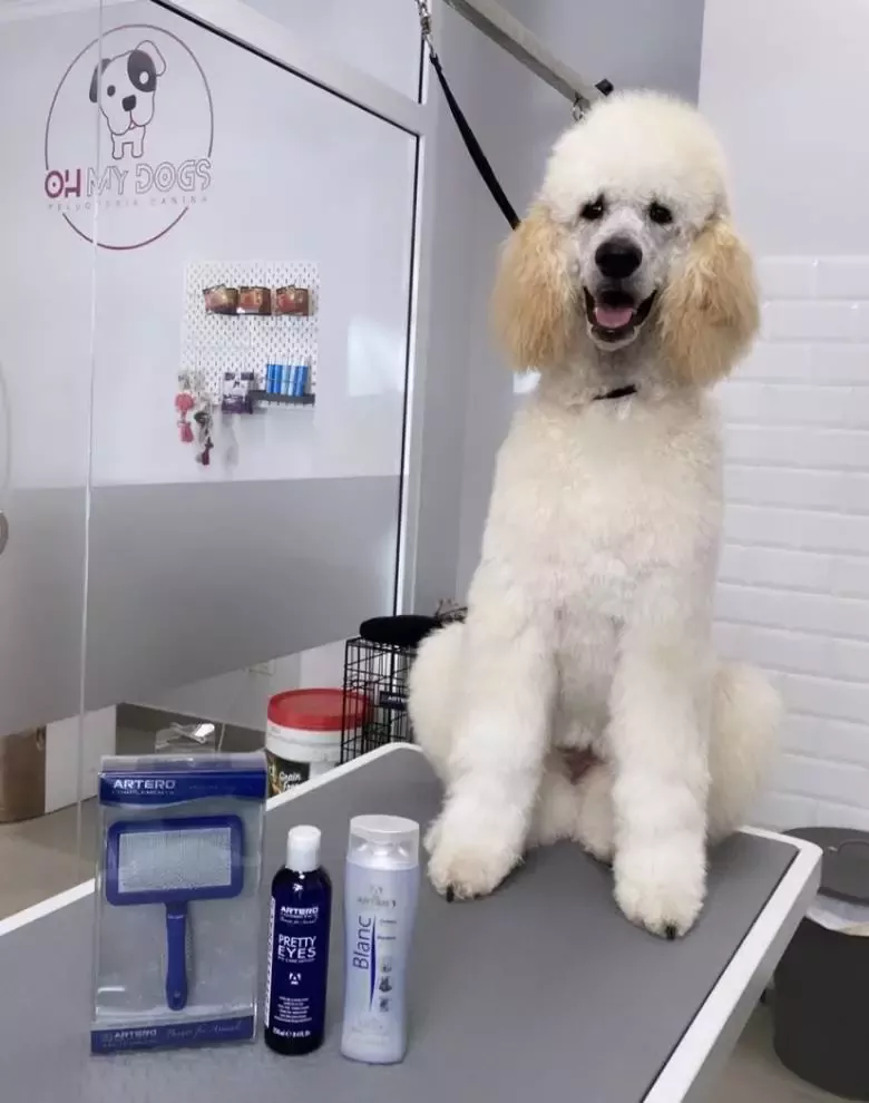 Peluquería Canina Freya