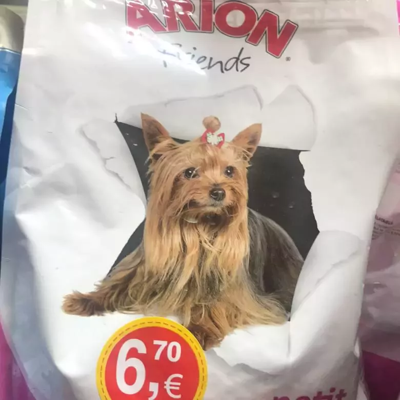 Puensos nanta iluma peluqueria canina