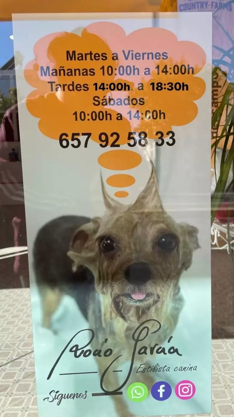 Estilista Canina Rocío García Lepe