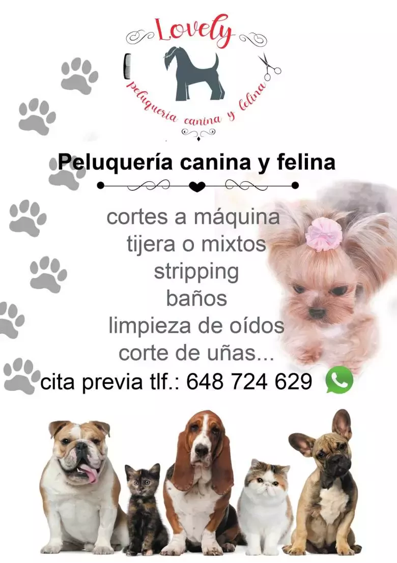 Lovely peluquería canina y felina modificación de conducta adiestramiento...