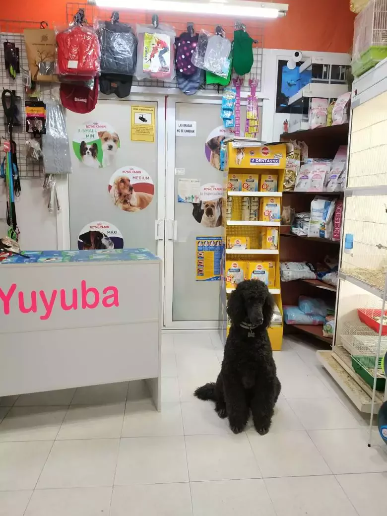 Peluquería Yuyuba