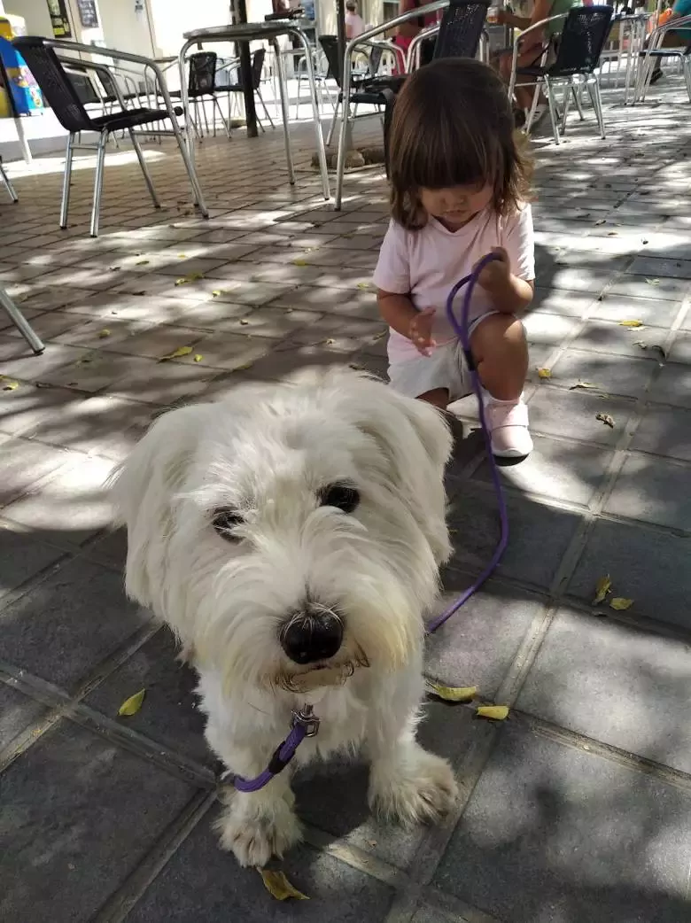 Peluquería Canina Rubén