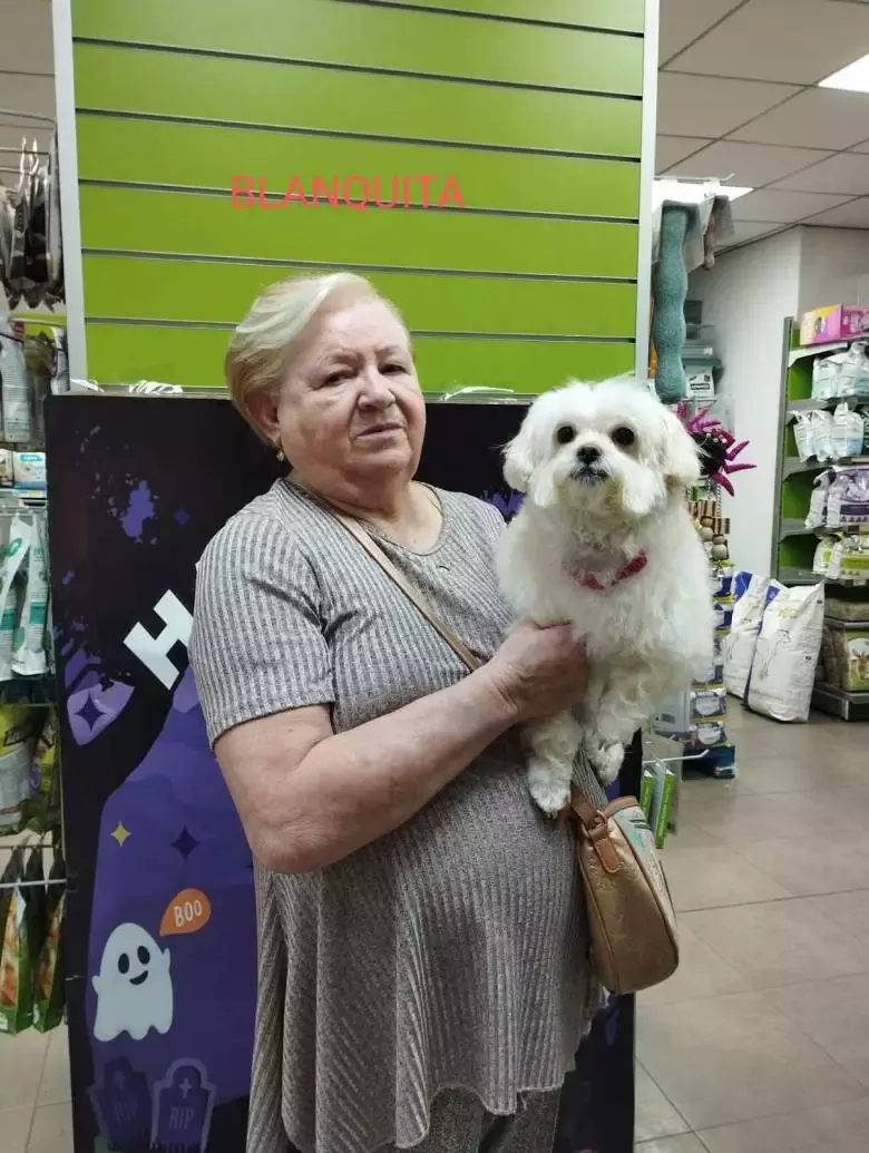 Interzoo Lliria Peluquería Canina Productos para mascotas Comprar...