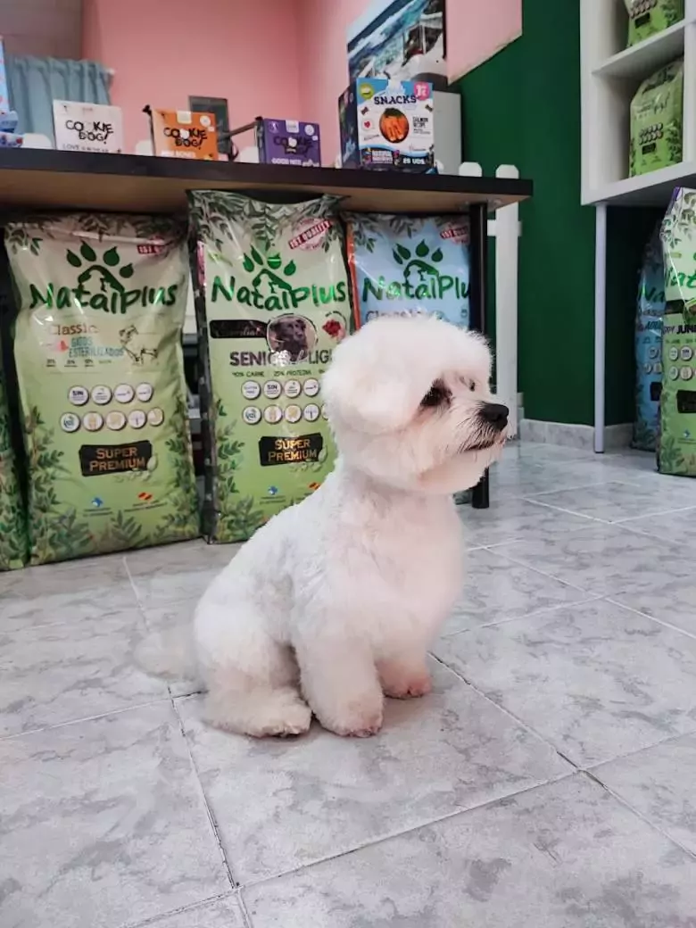 Peluquería Canina De Pura Alma Renedo de Piélagos