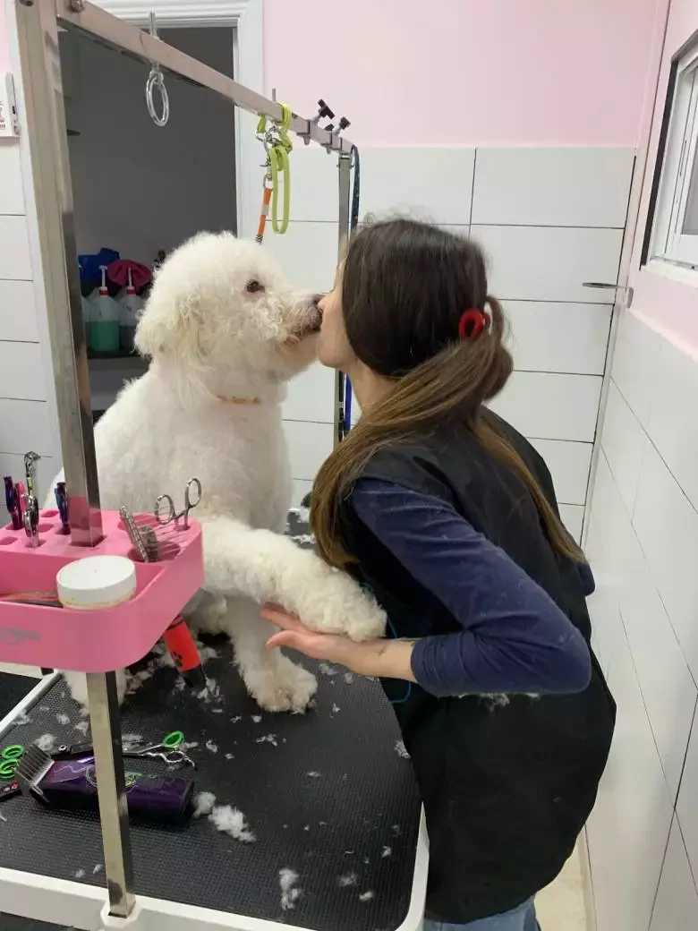 Peluquería Canina Encanto