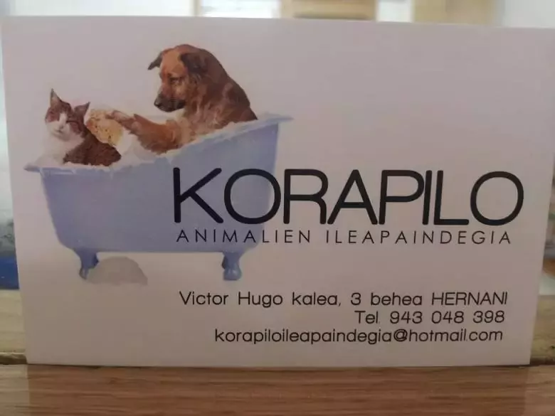 Korapilo animalien ileapaindegia