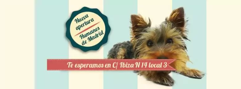 Peluquería Canina Minnie Pooches