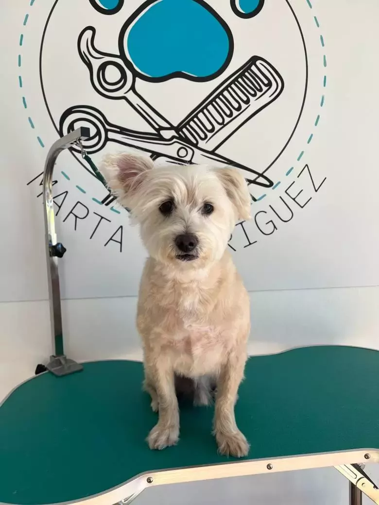 Peluquería Canina Huellitas Chipiona