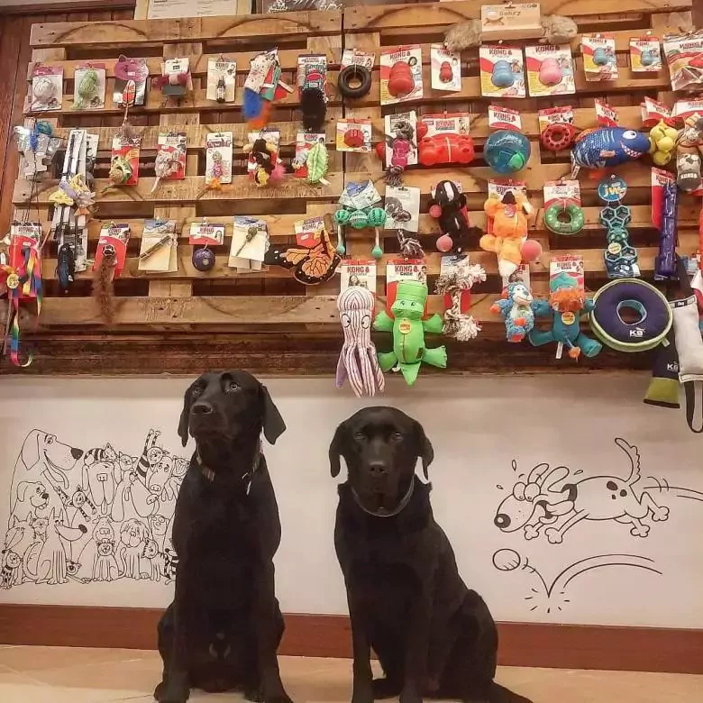 Urubi Tienda de productos para animales