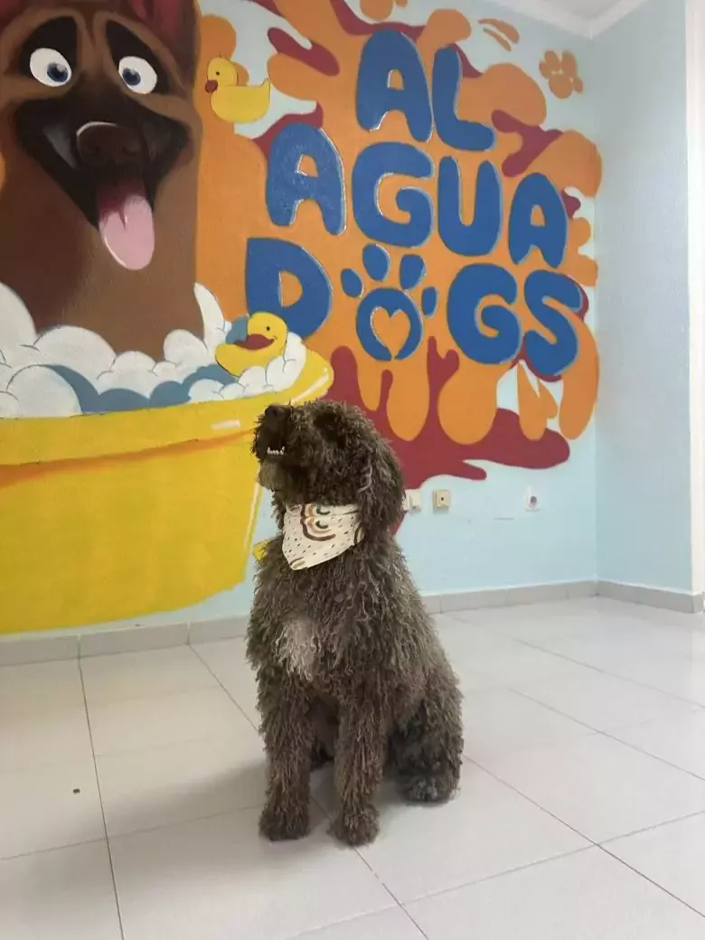 Al Agua Dogs