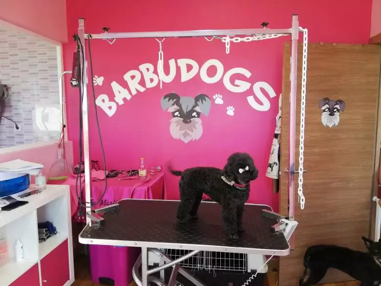 Barbudogs Peluquería canina