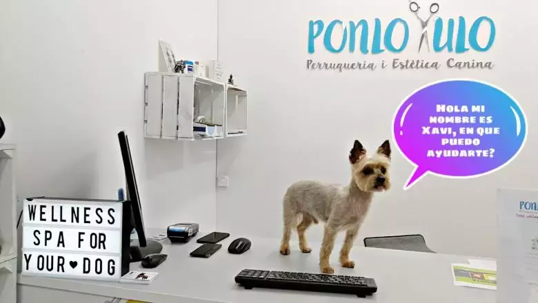 Spa Ponlo Xulo Peluquería y Estética Canina Born