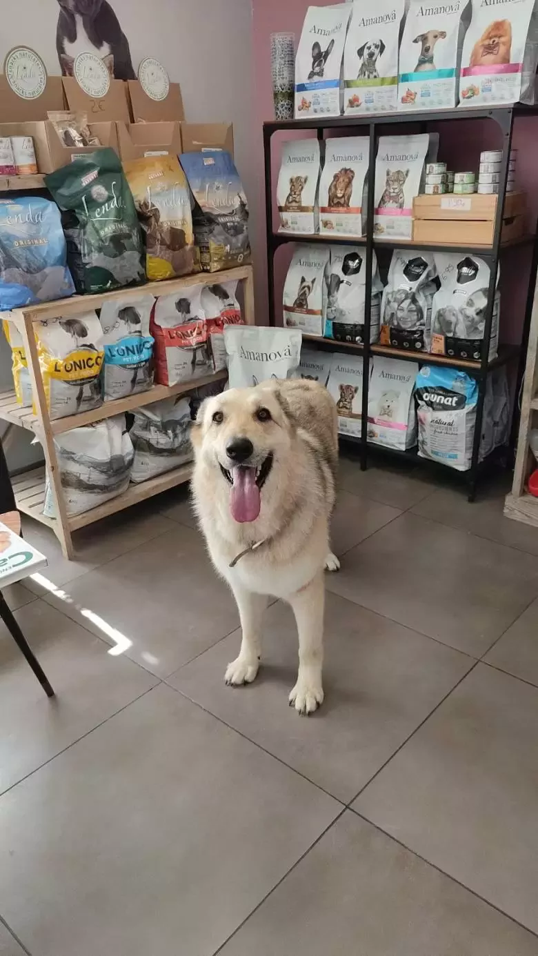 ESPÍRITU ANIMAL PELUQUERÍA CANINA