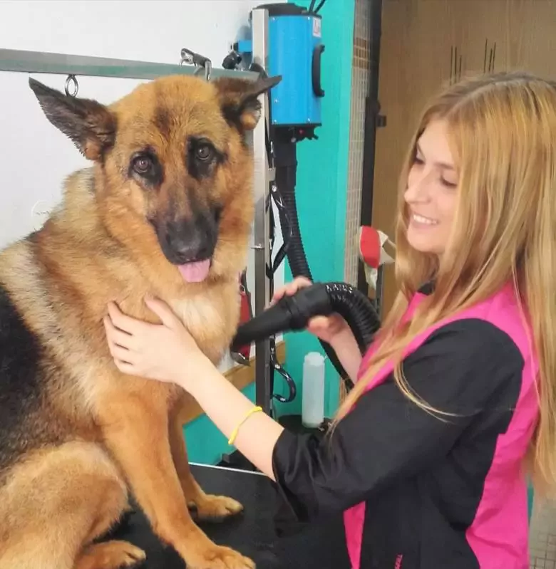 Peluquería canina Marina Núñez Groomer