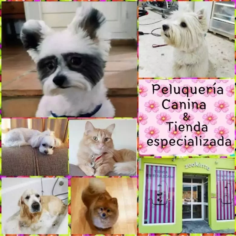 PELUQUERÍA CANINA ZOOKINTO