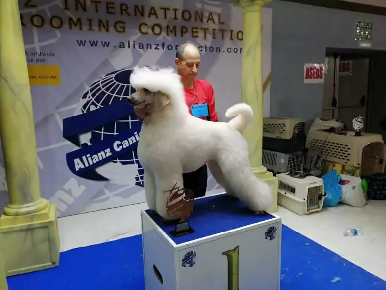 Academia y Peluquería Canina Sir Can