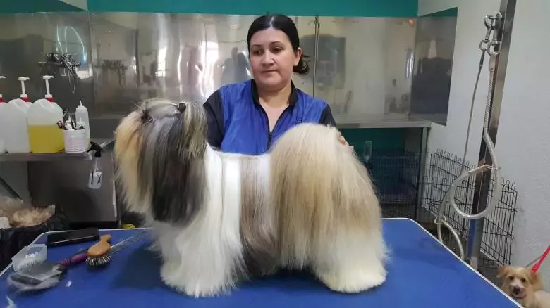 GOSILANDIA Peluquería y estética canina