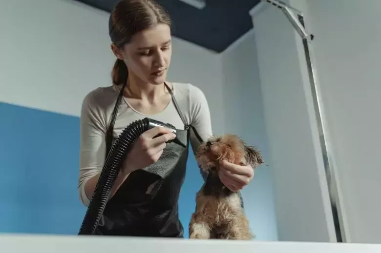 Peluqueria Canina A Patitas y Rizos