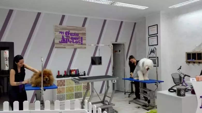 Peluquería Canina Guau Qué Pelos!