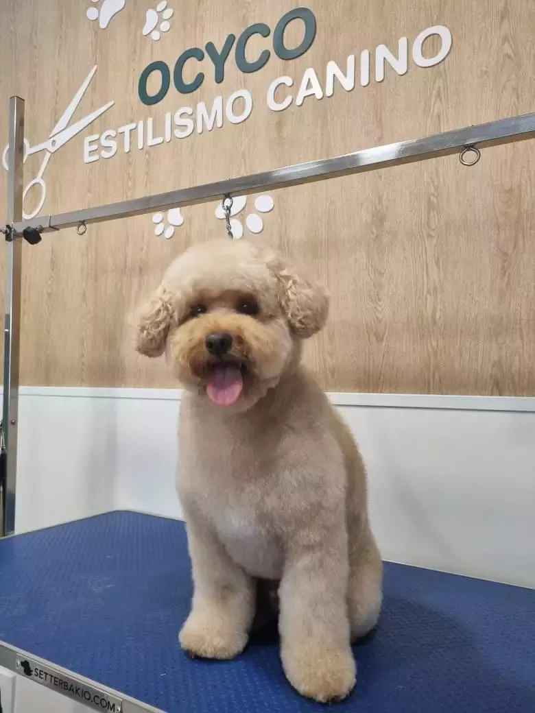 Peluquería Canina OCYCO