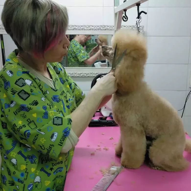 Peluquería Canina Pelukan