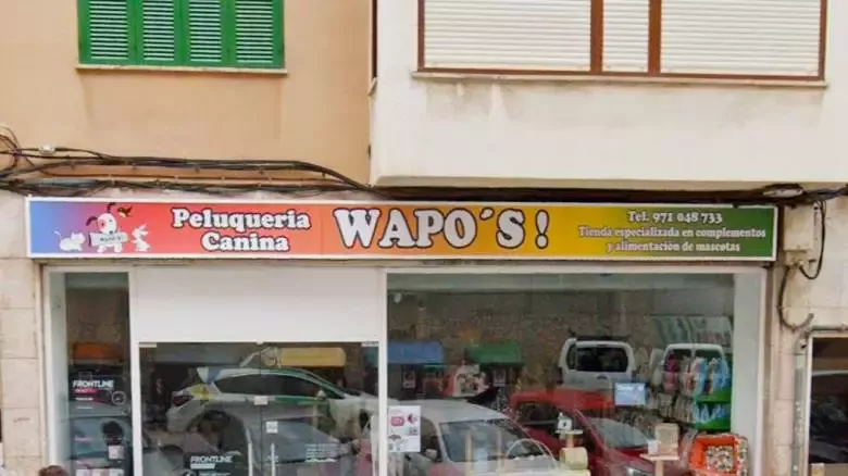 Peluqueria canina wapos