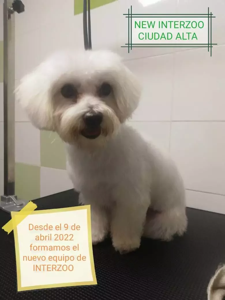 SANVET Natural Pet Shop y Peluqueria Canina