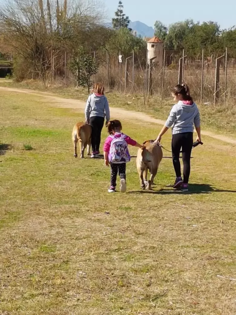 Sociedad Canina de Murcia