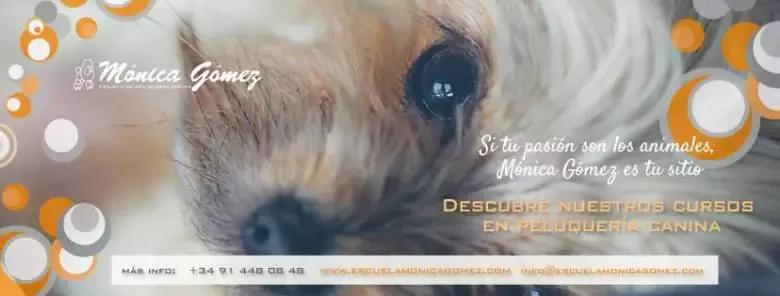 Escuela de Peluquería Canina Mónica Gómez Córdoba