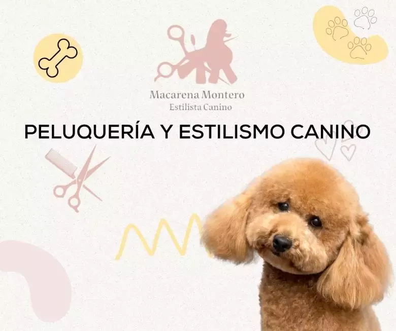 Macarena Montero Peluquera y Estilista Canino