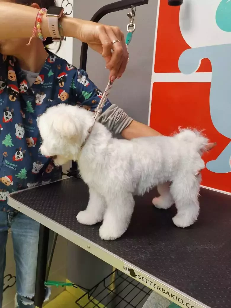 Peluquería Canina Peludos Córdoba