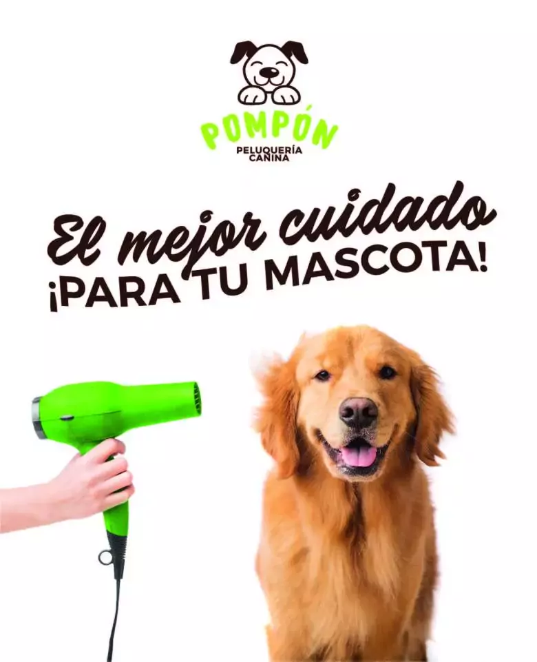 Peluquería Canina Pompón