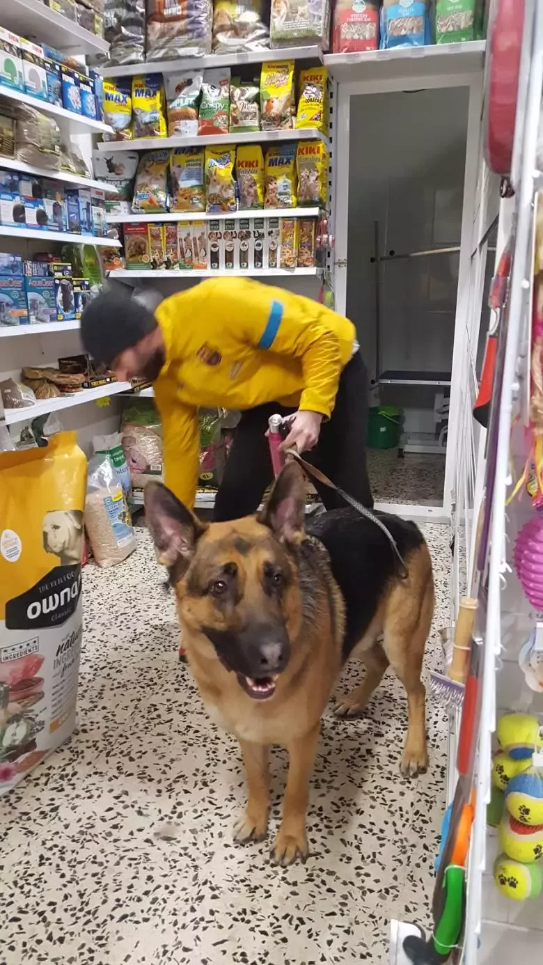 Bicheros Mascotas y Peluqueria Canina