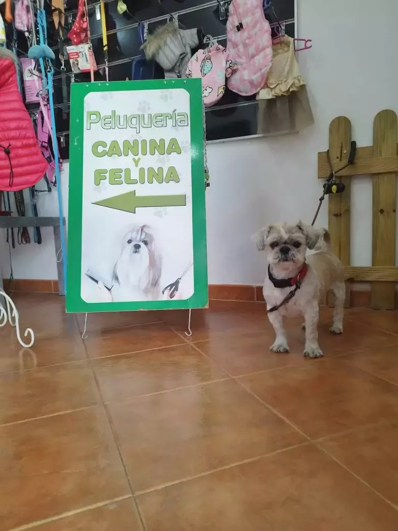 Peluquería Canina& Felina Laura B Martín